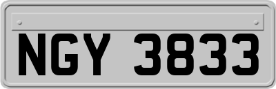 NGY3833