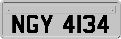 NGY4134