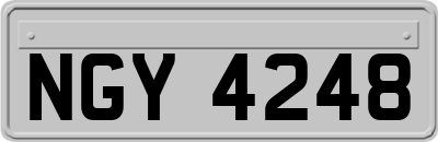 NGY4248