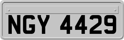 NGY4429