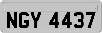 NGY4437