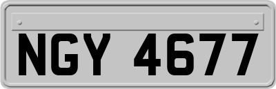 NGY4677