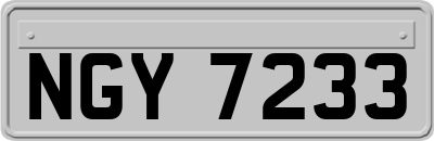 NGY7233