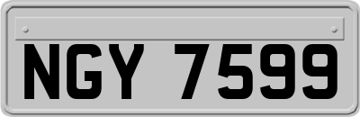 NGY7599