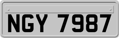 NGY7987