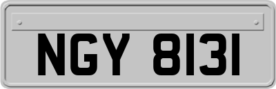 NGY8131
