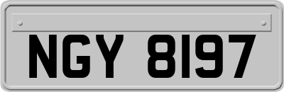 NGY8197