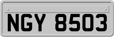 NGY8503