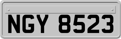 NGY8523