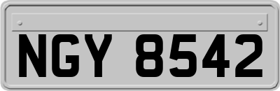 NGY8542