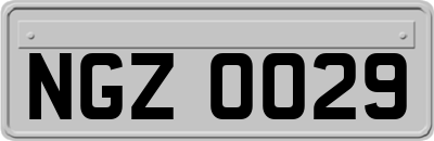 NGZ0029