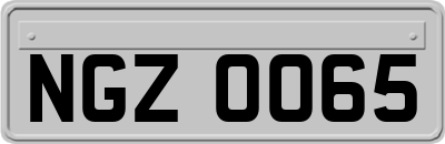 NGZ0065
