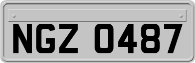 NGZ0487