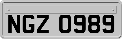 NGZ0989
