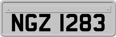 NGZ1283