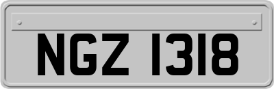 NGZ1318