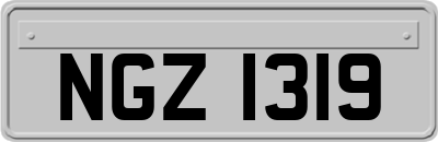 NGZ1319