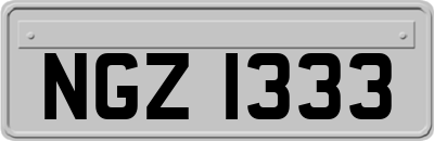 NGZ1333