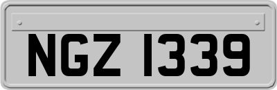 NGZ1339