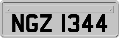 NGZ1344