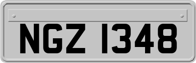 NGZ1348