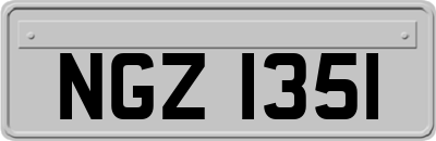 NGZ1351