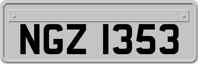 NGZ1353