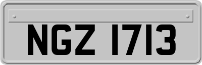 NGZ1713