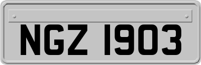 NGZ1903