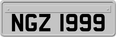 NGZ1999