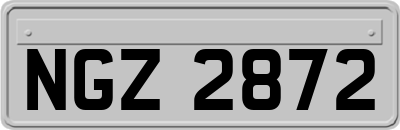 NGZ2872