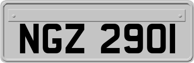 NGZ2901