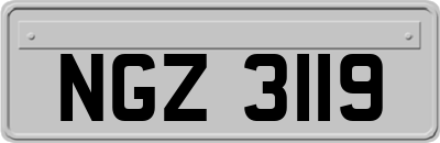 NGZ3119