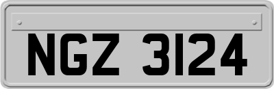 NGZ3124