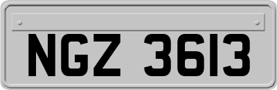 NGZ3613