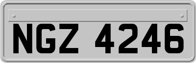 NGZ4246