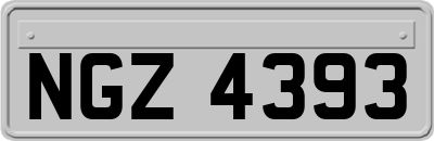 NGZ4393