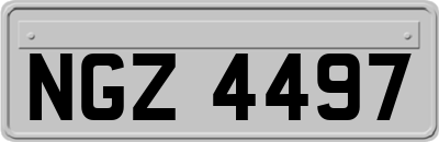 NGZ4497