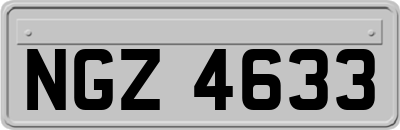 NGZ4633
