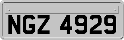NGZ4929