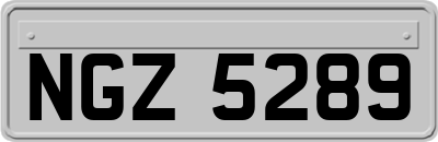 NGZ5289