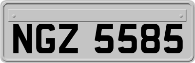 NGZ5585