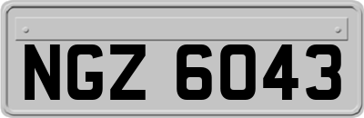 NGZ6043