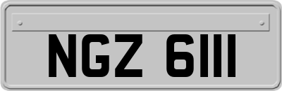 NGZ6111