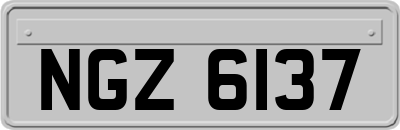 NGZ6137
