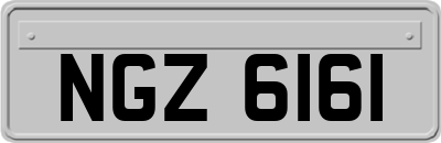 NGZ6161