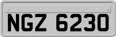 NGZ6230