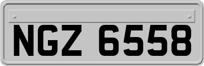 NGZ6558