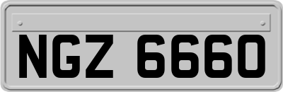 NGZ6660