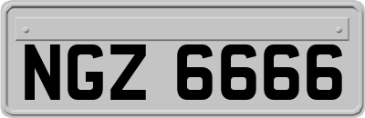NGZ6666